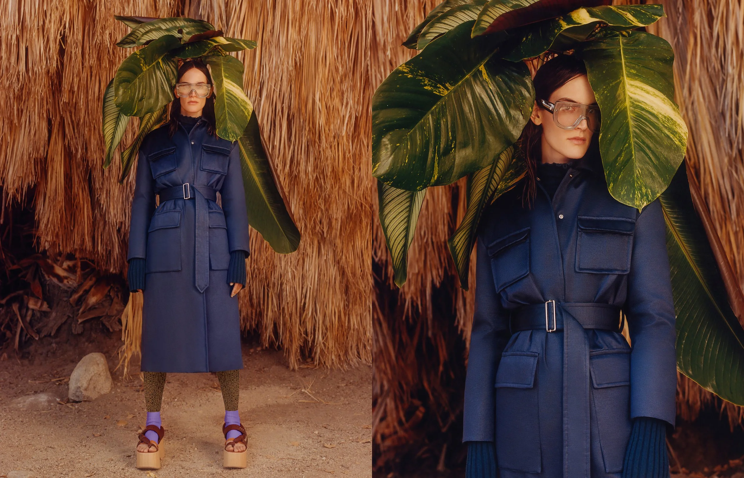 Photographed by Theo de Gueltzl